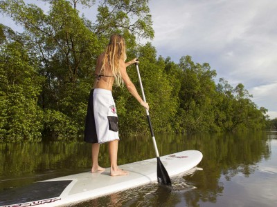surf paddle