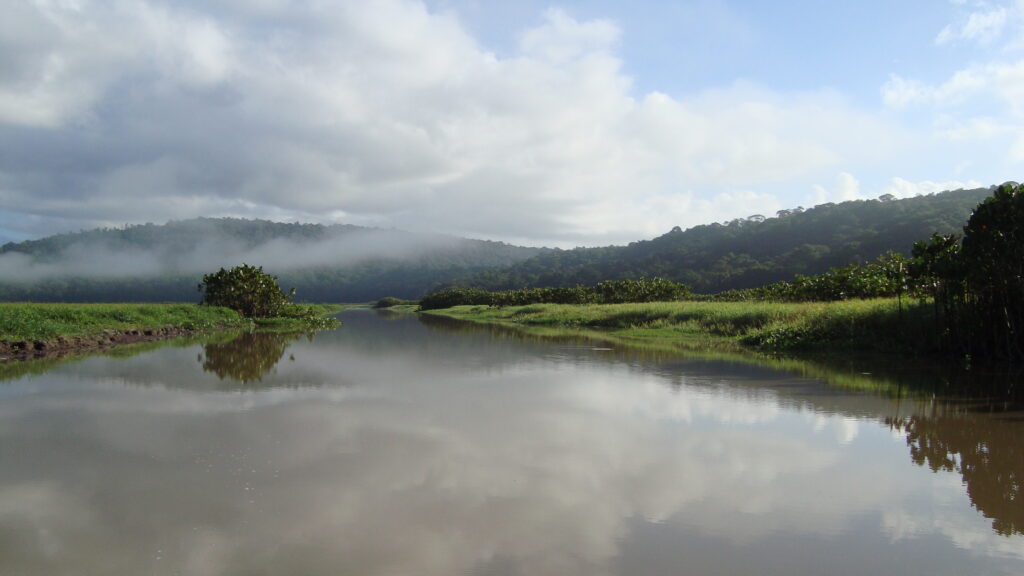 Paysage naturel du Marais de Kaw en Guyane